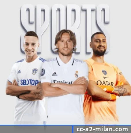 五大服务分区,信息按项目分类 | milan.com